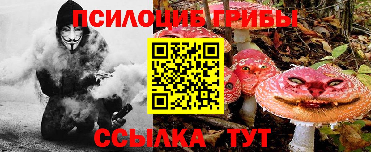 Псилоцибиновые грибы MAGIC MUSHROOMS Ачинск