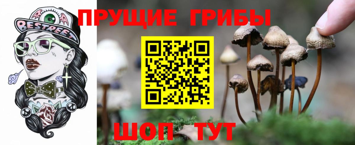 Псилоцибиновые грибы GOLDEN TEACHER  Вход с VPN  Ачинск 